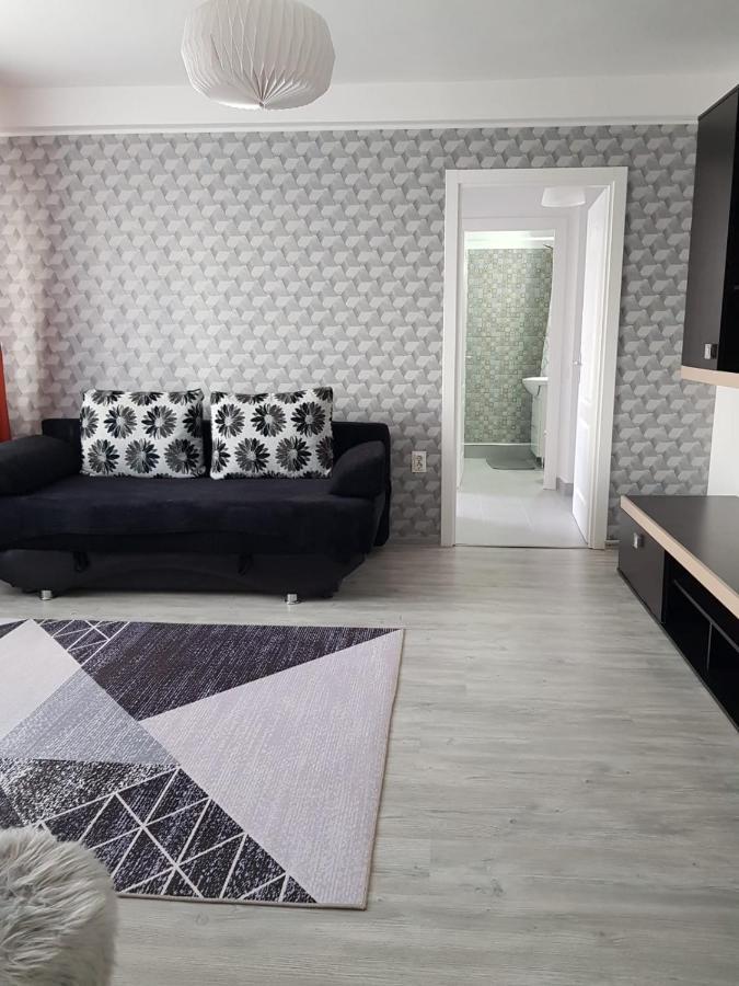 Ana Apartament Ramnicu Valcea Bagian luar foto