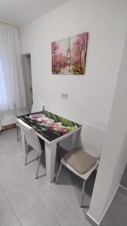 Ana Apartament Ramnicu Valcea Bagian luar foto