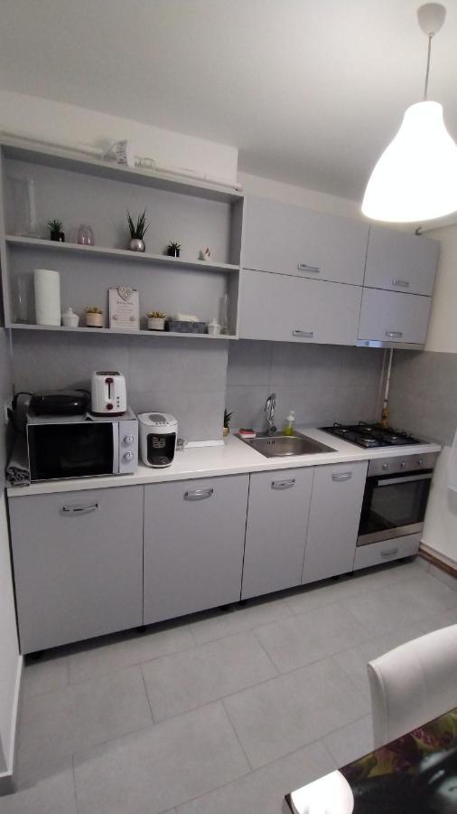 Ana Apartament Ramnicu Valcea Bagian luar foto