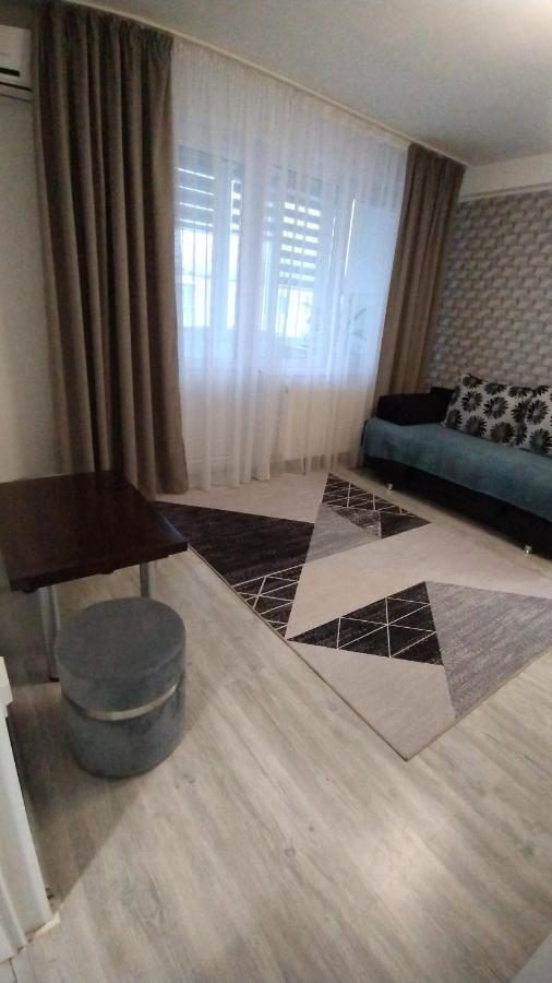 Ana Apartament Ramnicu Valcea Bagian luar foto